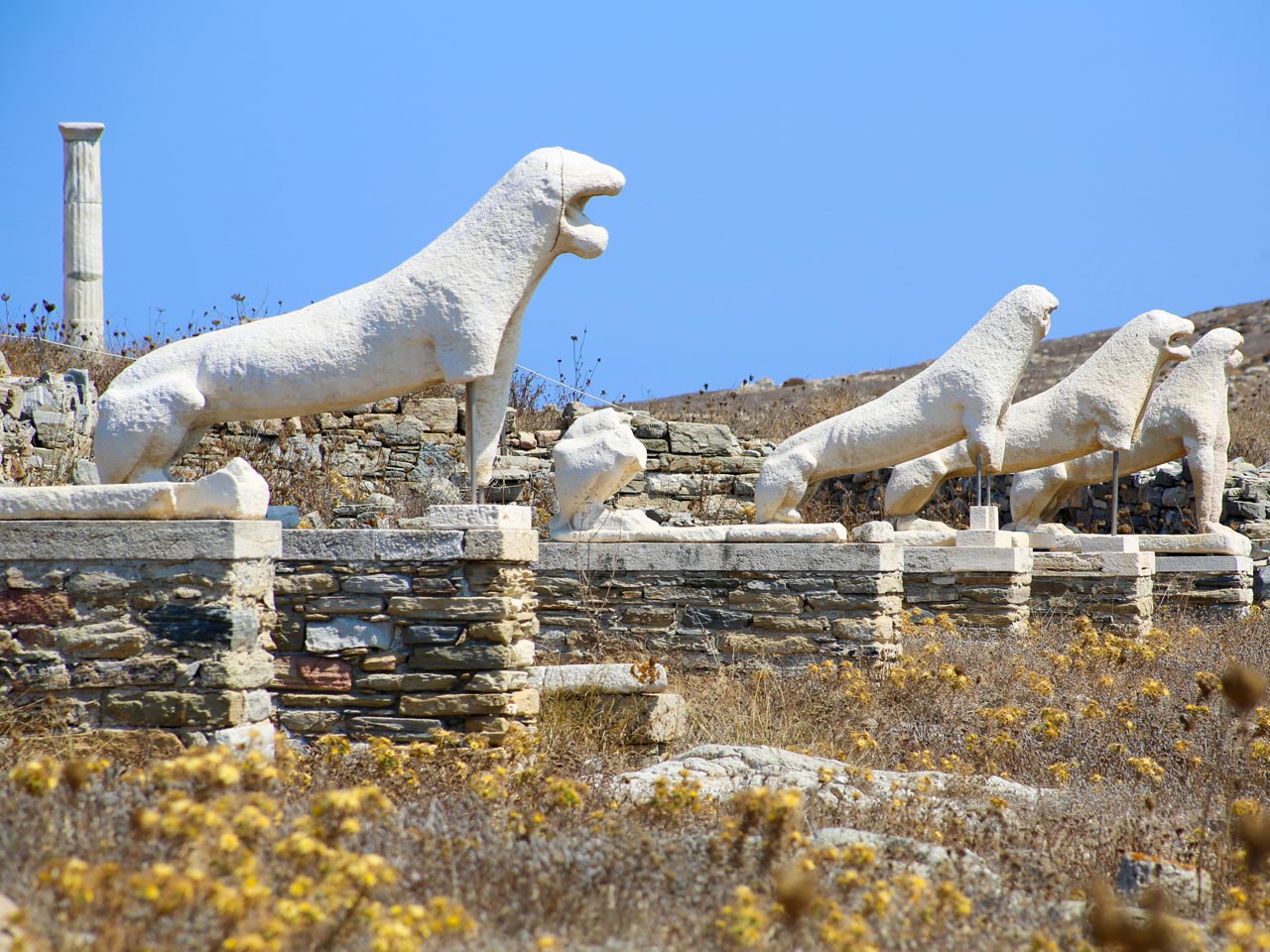 Delos & Mykonos One Day Cruise with Expert Guide