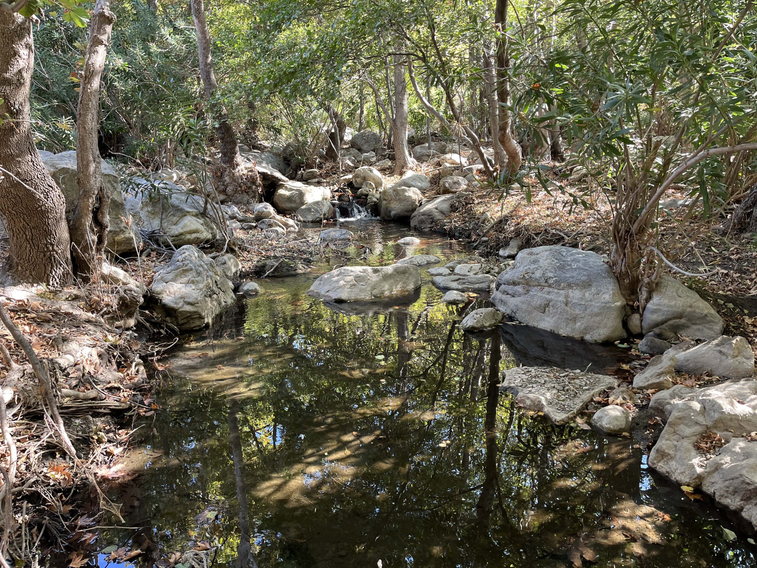 Nature’s Path: Hike the Untamed Beauty of Naxos & Olive oil Tasting