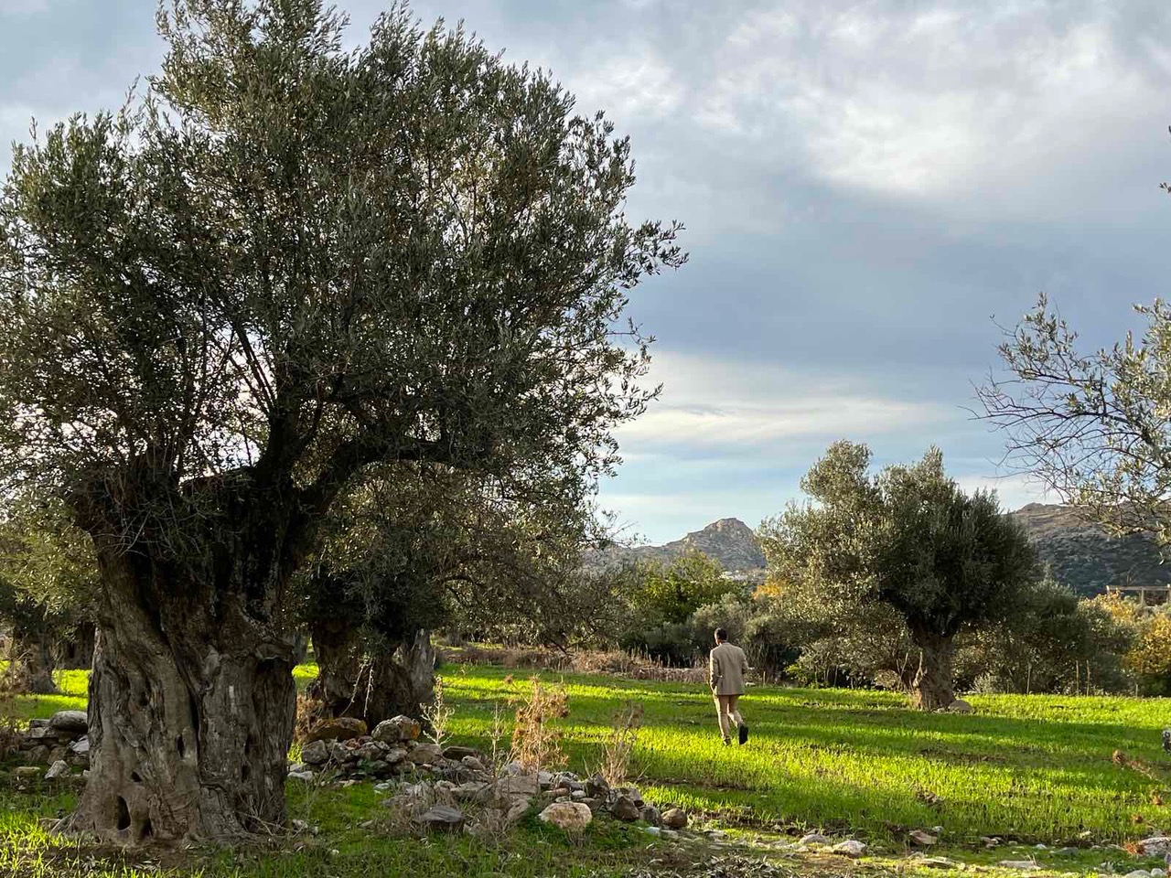 Hiking Naxos’ Verdant Trails